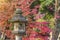 Stone Kasuga lantern under a red maple momiji in the garden of Rikugien in Tokyo in autumn