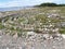 Stone labyrinth on the Big Solovki island, Russia