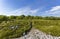 Stone labyrinth on the Big Zayatsky island of the Solovetsky archipelago, White sea,