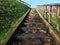 Stone ladder with grass and blue sky