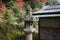 stone lamp garden in Konkai Komyoji Temple