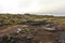 Stone landscape in Iceland