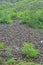 Stone landslide under spring rain, vertical orientation