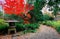 A stone lantern by a path in the forest of fiery autumn foliage in beautiful Rikugi-en Park