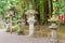 Stone lanterns at Kashima Shrine Kashima jingu Shrine in Kashima, Ibaraki Prefecture, Japan.