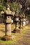 Stone lanterns in Toshogu temple, Ueno, Tokyo