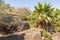 Stone-lined terraces decorated with plants on display at the Botanical Garden in Eilat city, southern Israel