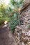 Stone-lined terraces decorated with plants on exposition at the Botanical Garden in Eilat city, southern Israel