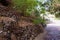 Stone-lined terraces decorated with plants on exposition at the Botanical Garden in Eilat city, southern Israel