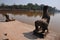 Stone lion and baray at Ankor Wat,Cambodia