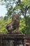 Stone lion covered in lichen guards steps