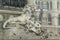 Stone Lion With Doves in Venezia