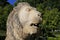 Stone lion head in the Maria Luisa park in Seville