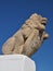 Stone lion ion front of blue sky