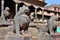 Stone Lion at Patan Durbar Square