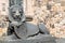 Stone lion sculpture with union jack shield