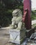 Stone lion statues at entrance of Mingyue Buddhist Temple