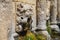 Stone lions head of Rimondi Fountain