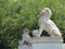 Stone lions, Newport News, Virginia