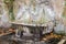 Stone marble Roman fountain bath with drinking water near the Piazza Garibaldi in Rome, Italy