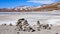 A stone marker point stands in front of Laguna Blanca in the Reserva Eduardo Avaroa, Sud Lipez province, Bolivia