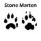 Stone Marten Footprint