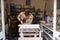 Stone Mason At Work On Carving In Studio