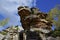 Stone megalith Big Turtle - the highest point in the Kamenny Gorod tract Chertovo Gorodishche