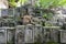 Stone memorials in graveyard, Kanazawa, Japan