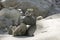 Stone men in Samaria Gorge on Crete island