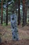 Stone menhir among the forest