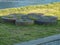 Stone millstones of an old mill on the green bank of the Okhta