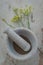 Stone mortar with anise seed and flower