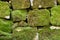 Stone moss wall background