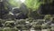 Stone with moss in waterfall in forest creek