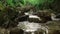 Stone with moss in waterfall in forest creek