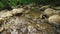 Stone with moss in waterfall in forest creek, water running through wonderful park.