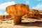 A stone mushroom in the desert near the Red Sea
