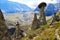 Stone mushrooms in the valley of the Chulyshman River in Altai. Stones in the form of mushrooms Mountains in the form of mushrooms