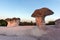 The Stone Mushrooms viewed from above near Beli plast village, Bulgaria