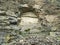 Stone natural archway, texture.