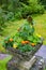 Stone ornamental flower raised flower bed in hotel grounds