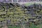 Stone Outer Church Wall On Saddleworth Moor Pennines In Manchester
