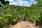 Stone overlook on the trail in Fairfield Glade community in Tennessee