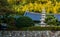 Stone pagoda nestled in dense wooded area