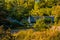 Stone pagoda nestled in dense wooded area