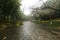 stone path in botanical garden