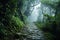 a stone path in a forest