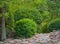 A stone path through the garden of Largo Central Park in Largo, Florida, USA