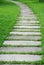 Stone path with green grass